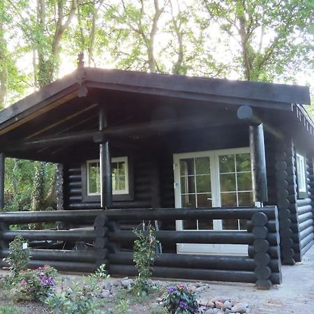 Vila Knusse En Gezellige Blokhut De Bijenstal Dedemsvaart Exteriér fotografie