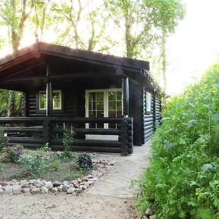 Vila Knusse En Gezellige Blokhut De Bijenstal Dedemsvaart Exteriér fotografie