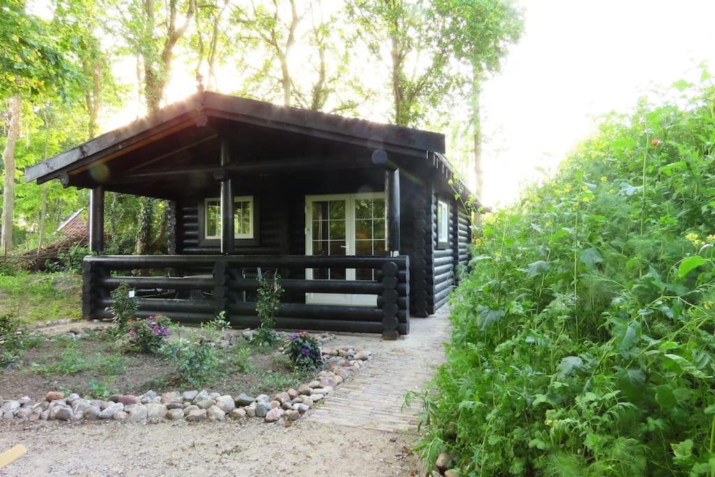 Vila Knusse En Gezellige Blokhut De Bijenstal Dedemsvaart Exteriér fotografie